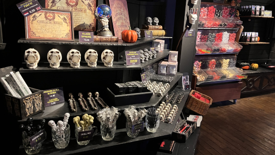 Museo van Gogh + La Plaza Dam + El calabozo de Ámsterdam + Mundo del cuerpo humano de Ámsterdam