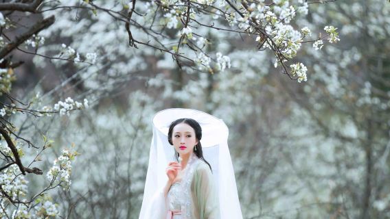 Gaozhou Trip Moments[Fairy Cave/Baoguangta/Multilingual Translation/Photographer Services Including Follow Shots, Aerial Photography, Companion Photography, and Customized Sessions]