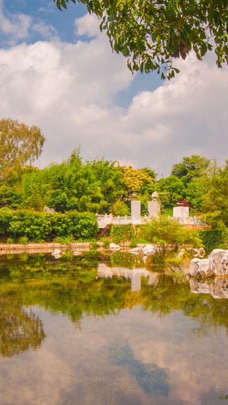 Stone Forest One-Day Tour: Explore Kunming's Iconic Karst Landscape[Ticket+Private Car]