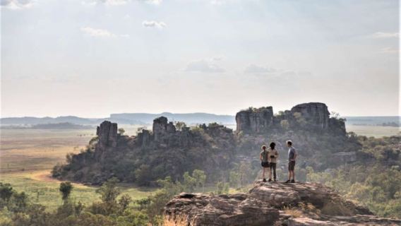 Tagesausflug von Darwin zum Kakadu-Nationalpark mit Hin- und Rückfahrt und optionaler Bootsfahrt zu den Krokodilen oder Fog Dam Wetlands