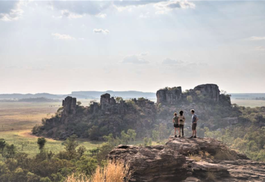 Darwin round-trip Kakadu National Park 1-day tour [crocodile cruise/foggy billabong options] AUD 288.12