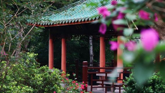 Lawatan sehari sewaan peribadi dari Haikou ke Taman Geologi Gunung Berapi, Kuil Lima Pegawai dan Muzium Wilayah Hainan