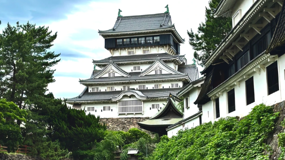 日本舞鶴公園-福岡城遺址-雷山千如寺 大悲王院-百道海濱公園一日遊包車