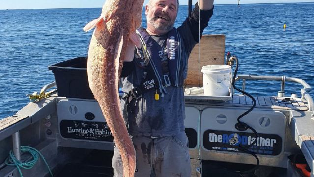 Kaikoura Rodfather Fishing & Lobster Catching Tour in New Zealand - 2.5 hr or 4 hr Options Available