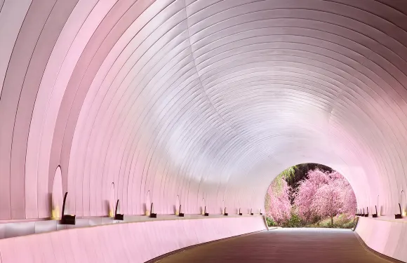 【賞櫻限定】美秀美術館+園城寺夜櫻+琵琶湖疏水|大阪/京都出發