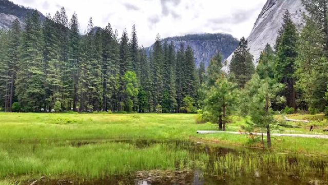 美國舊金山-優勝美地國家公園-瀑布高山湖泊【中文包車自由行】