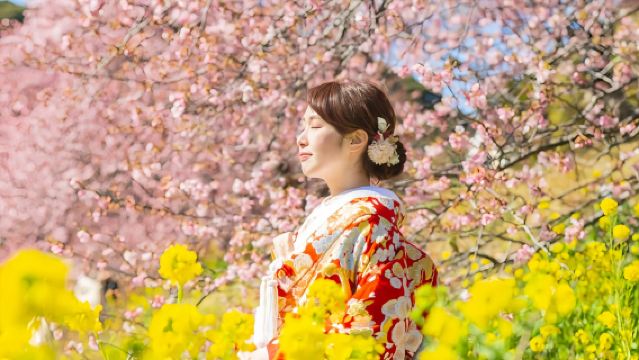 【早咲き桜限定】伊豆ワンデーツアー|河津桜まつり+オプションでいちご狩り+修善寺温泉