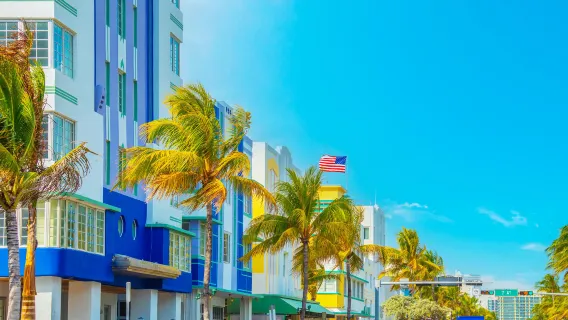Piccolo Gruppo MAX14 Ospiti: Tour Giornaliero al Parco Nazionale delle Everglades da Miami