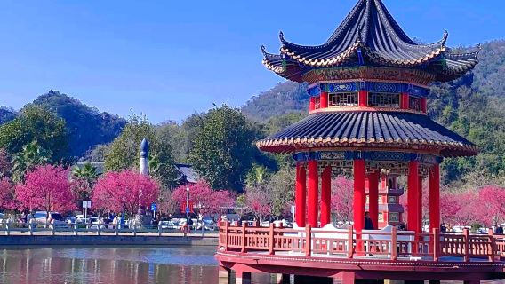 Lawatan sehari ke Lembah Bunga Sakura Xinfeng + Kuil Donghua + menikmati bunga musim bunga di Shaoguan | Lawatan sewa peribadi dengan jemputan & hantaran