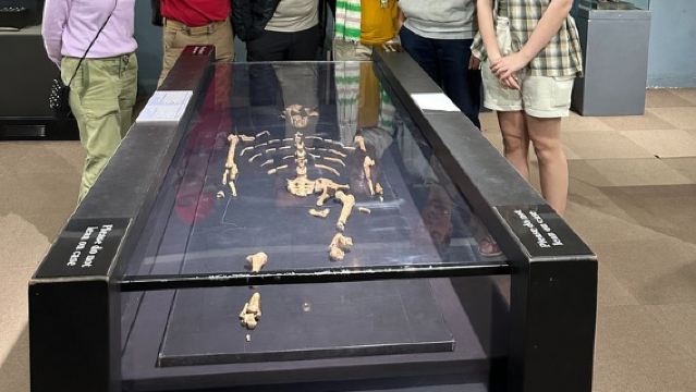 Best of Addis Ababa- (full day)