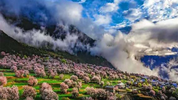 祁連山草原+崗什卡雪峰+卓爾山一日遊不含票