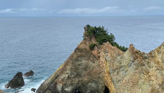 Lawatan klasik sehari di Izu: Tanjung Kekasih - Tanjung Emas - Pantai Ota - Gua Tingkap Dojima - Matsuzaki