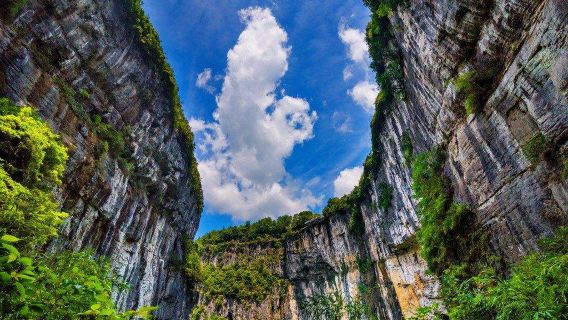 Excursión privada de un día desde Chongqing al Puente Natural de Tres Arcos en Wulong (incluye servicio de vehículo privado y entradas)
