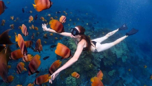 Schnorcheln in der blauen Lagune von Bali mit privatem Transfer und Mittagessen