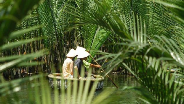 tour di un giorno a Hội An nella foresta di cocco (partenza da Da Nang)