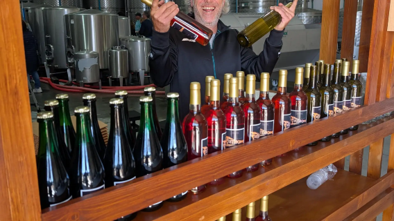 From Porto: 2 wine regions, farm-to-table lunch and cruise