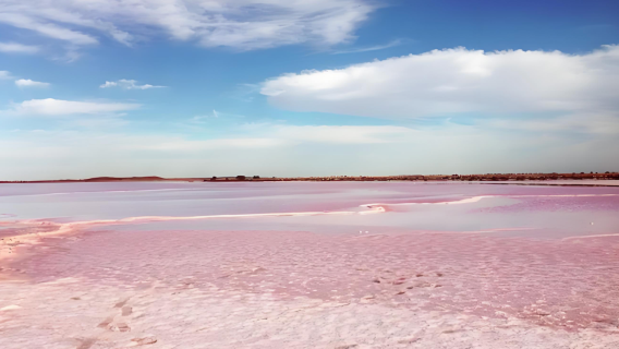 Pakej Berkumpulan Bahasa Cina di Cancun, Mexico | Tasik Pink + Rizab Semula Jadi Flamingo + Mandi Lumpur Maya Semula Jadi
