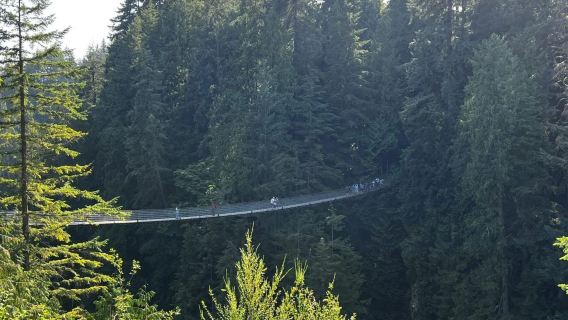 Vancouver (Canadá) + Montaña Grouse + Puente colgante de Capilano + Traslado puerta a puerta