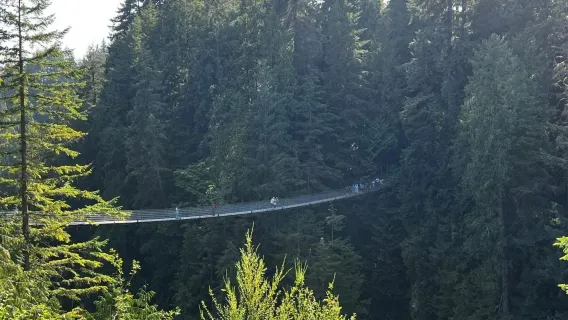 Canada : Vancouver + Mont Grouse + Pont suspendu de Capilano avec prise en charge à l'hôtel