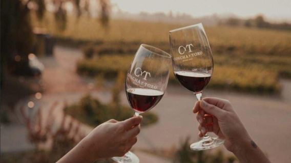 Concha y Toro Winery - Standard Tour
