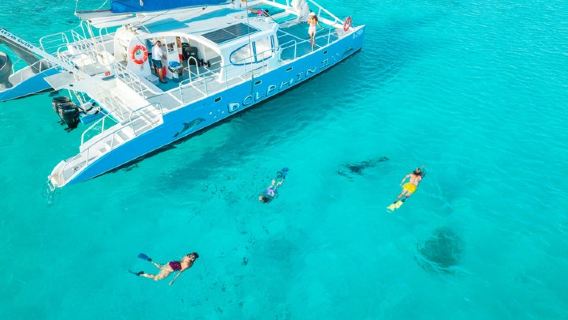 Dolphin Catamaran Snorkel and Sail with Open Bar