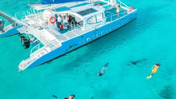 Dolphin Catamaran Snorkel and Sail with Open Bar