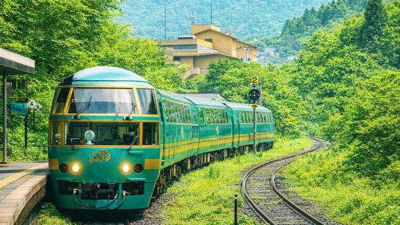 由布院の森列車：福岡発 別府＆太宰府市日帰りツアー