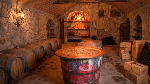 Tradycyjna Trasa Winna i Kultura Chapaca w Méndez z Obiadem - Tarija