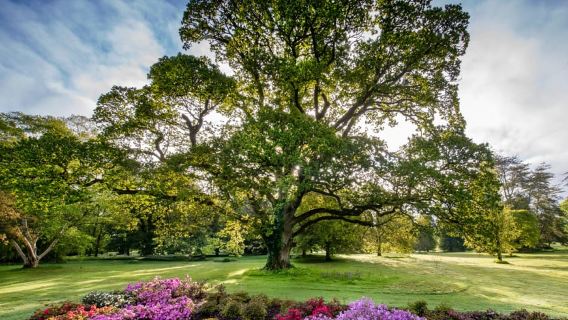 Dublin: Blarney Castle, Rock of Cashel & Cahir Castle