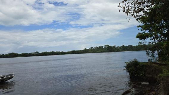 San Jose: Tortuguero Park Day Tour with Breakfast & Lunch