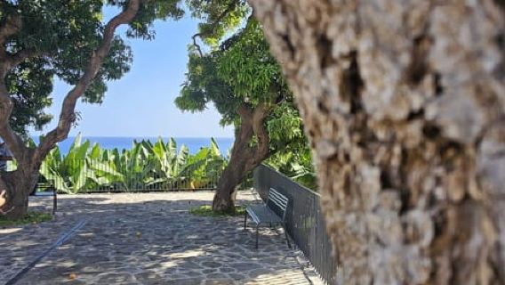 Ponta Do Sol : Madeira Banana Museum guided tour