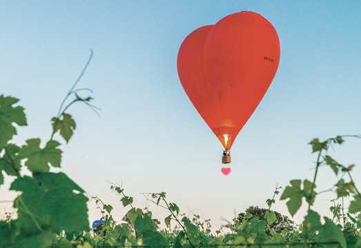Sydney Hunter Valley Sunrise Hot Air Balloon Ride 1 hr with Breakfast [Breakfast Package/Romantic Flight/Departure Meeting Point] AUD 282.02