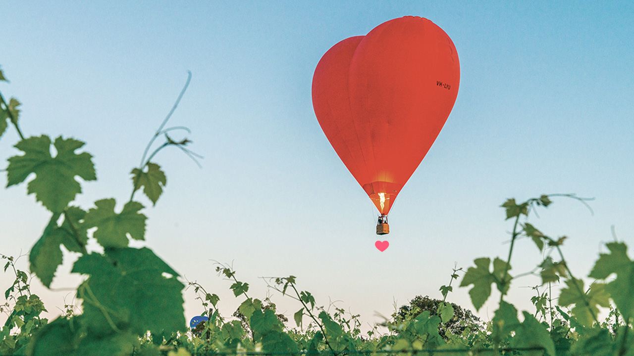 Vuelo en globo aerostático al amanecer de 1 hora en el Valle de los Cazadores de Sídney con desayuno [paquete con desayuno/vuelo romántico/salida desde el punto de encuentro]