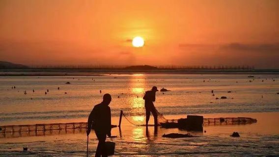 霞浦日遊