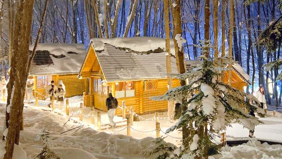 Excursion d'une journée au parc national de Hokkaido : terrasse des fées, colline Shikisai et zoo d'Asahiyama