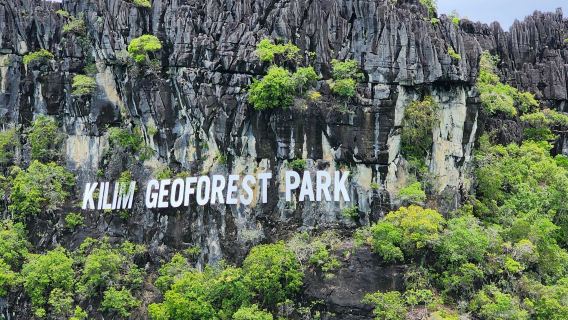 Paradise 101 Langkawi: Kilim Mangrove Guided Boat & Kayak Tour