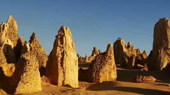 "Perth North Route" The Pinnacles + Yanchep National Park + Lancelin White Sand Dunes | Itinerary adjustable