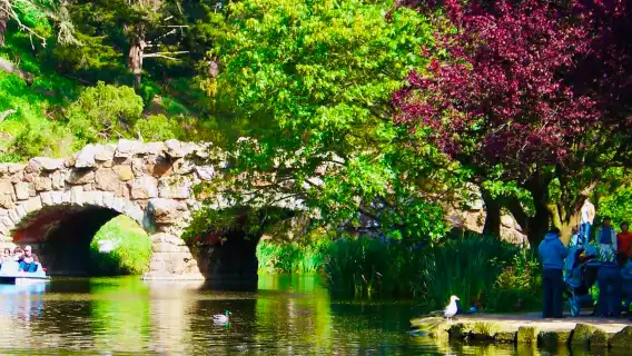 美國舊金山金門公園+九曲花街+大黃蜂號航空母艦博物館一日遊
