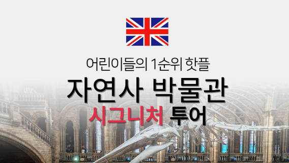 브라이턴여행 서비스