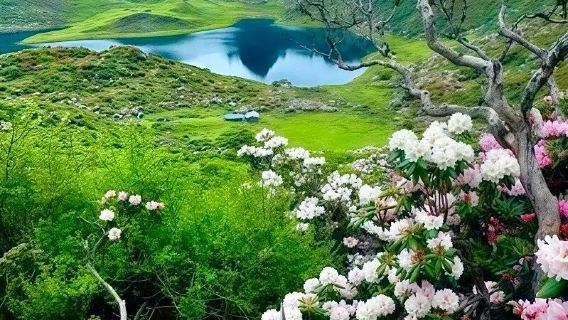 雲南麗江出發：輕奢黑海陡步| 哈巴環線自然牧場 探險小眾之旅 2-12人精品小團