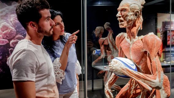 BODY WORLDS Berlin - The First Museum of BODY WORLDS