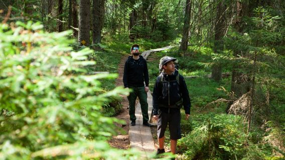 Helsinki: Magical Taiga Forest Hike