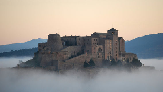 Cardona
