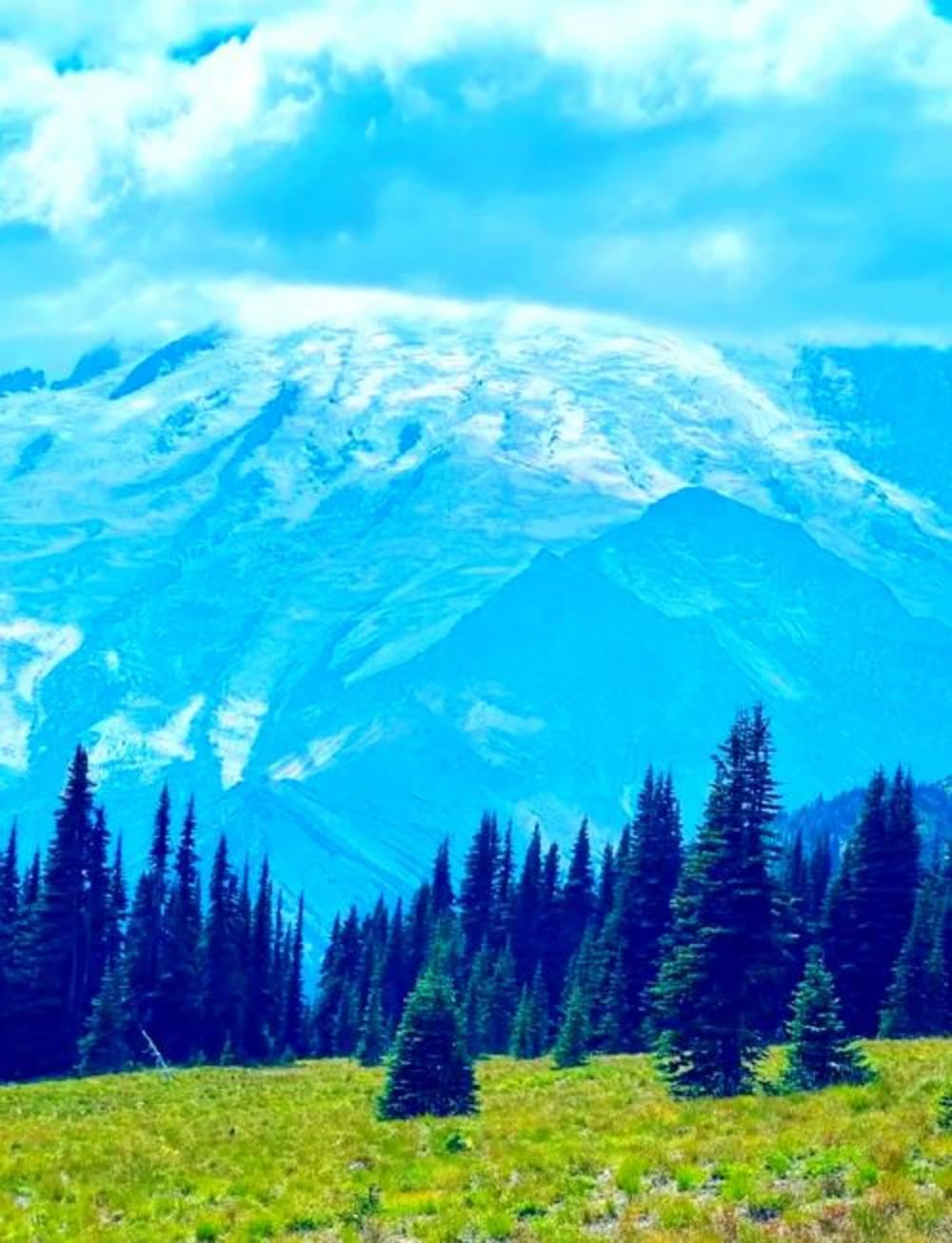 美國西雅圖雷尼爾火山國家公園一日遊/行程可調-可定制多日