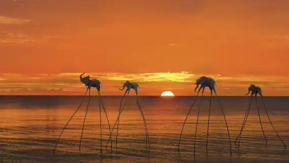 ฟูก๊วก|เที่ยวชมสถานที่ทางภาคใต้ – หาดซาว – วัดห้อก๊วก