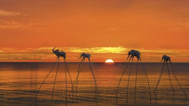 富國島 | 南部觀光 – 星海灘 – 胡國寺