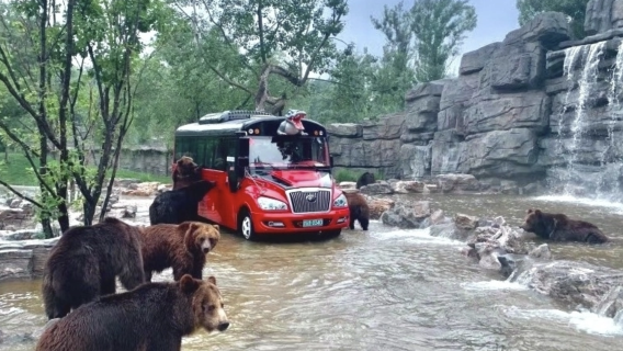 Day Trip to Beijing Wildlife Park [ Transportation + Tickets]
