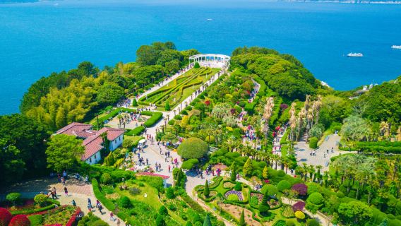 Oedo island + Windy Hill Tour + Geoje Panorama Cable Car One Day Tour (From Busan)