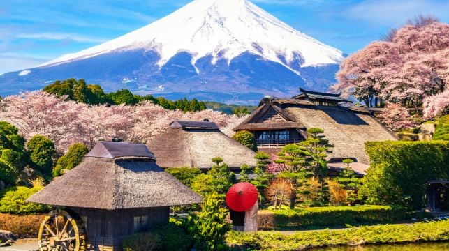 西湖合掌村+抹茶體驗+河口湖纜車+忍野八海一日遊小車包車