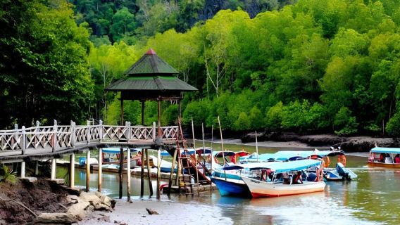 Langkawi: Mangrove Tour with Kilim Geoforest Park & Bat Cave